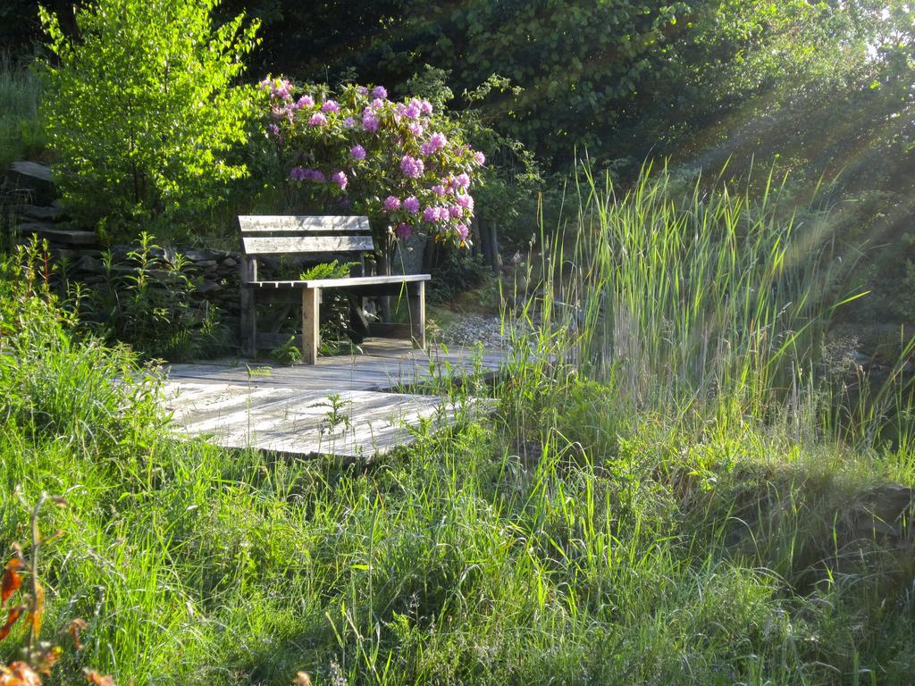 Het Groene Huis مونشاو المظهر الخارجي الصورة